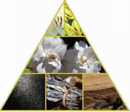 2_Robert Piguet_Gardenia_ingredientes.jpg 2_Robert Piguet_Gardenia_ingredientes.jpg