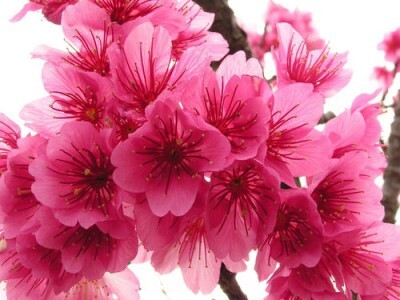 Hi84kgnP (400x300).jpg Hi84kgnP (400x300).jpg