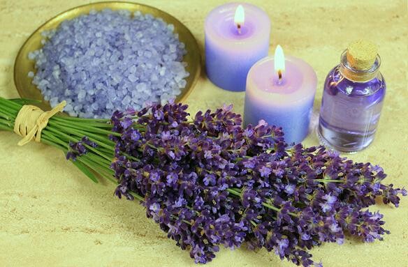 2_2_Lavanda.jpg