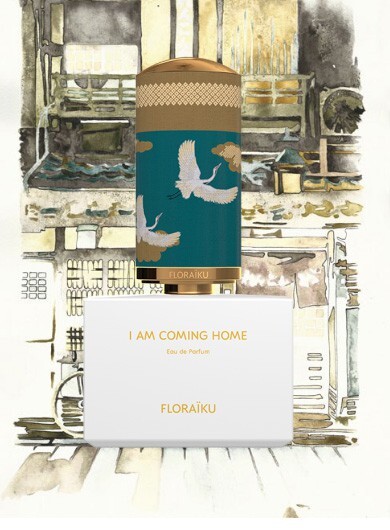 I am Coming Home.jpg