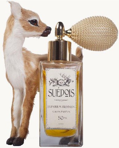 2_Euphorium Brooklyn_Suedois_photo.jpg