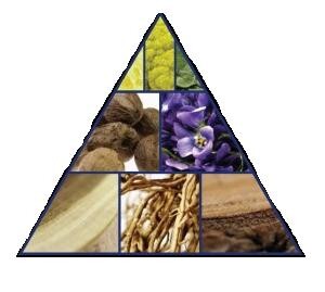 piramidka_Bois Bleu.jpg