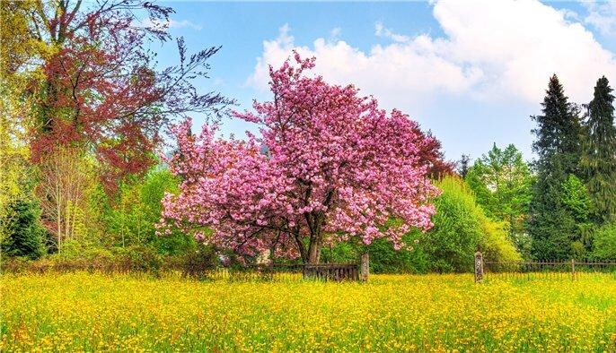 nature.jpg nature.jpg