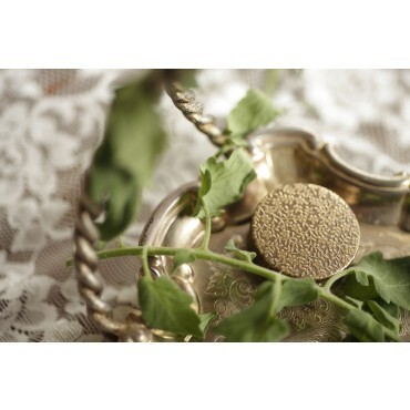 2_Nightshade Garden.jpg