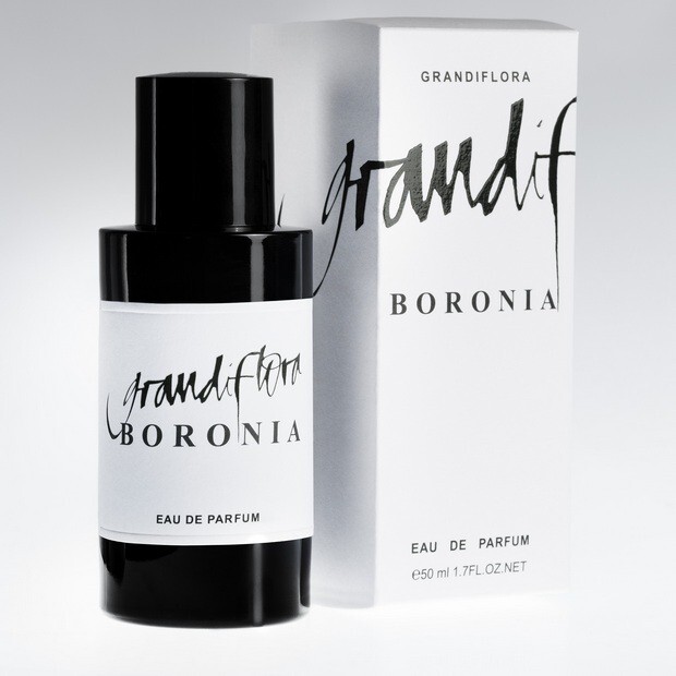 Grandiflora_Boronia_with pack.jpg