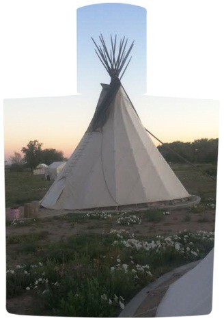 3_DS Durga_El Cosmico_poster.jpg