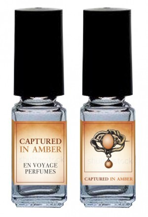 1_Captured in Amber.jpg 1_Captured in Amber.jpg