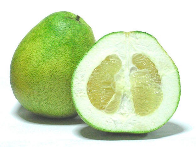bergamot-mini1.jpg