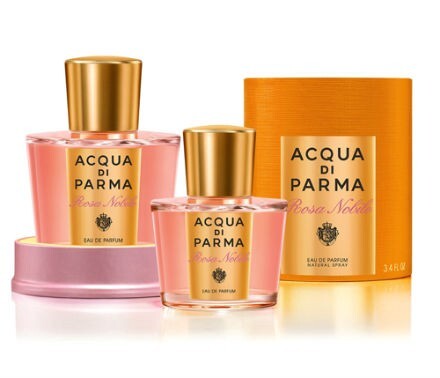 Rosa Nobile .jpg Rosa Nobile .jpg