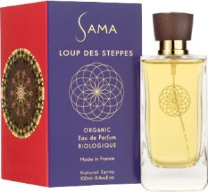 4_Loup des Steppes.jpg