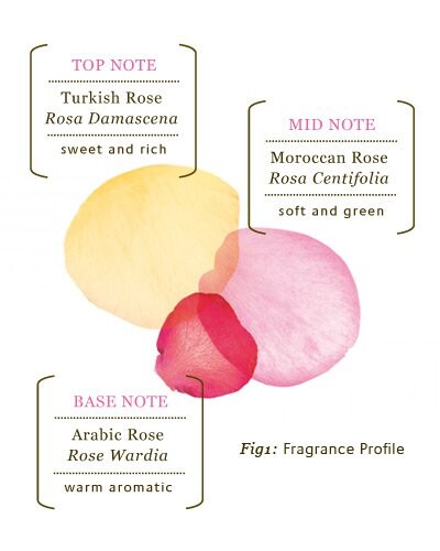 2_Essence of Rose_notes.jpg