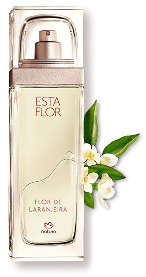 1_Natura_Esta Flor de Laranjeira_poster2.jpg