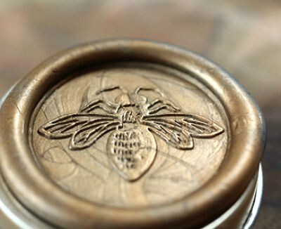 Figure 5 Bois solid.jpg