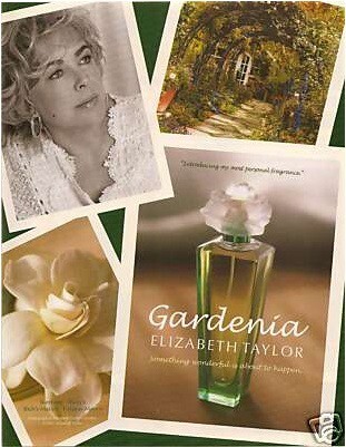 Gardenia Elizabeth Taylor от Elizabeth Taylor.jpg
