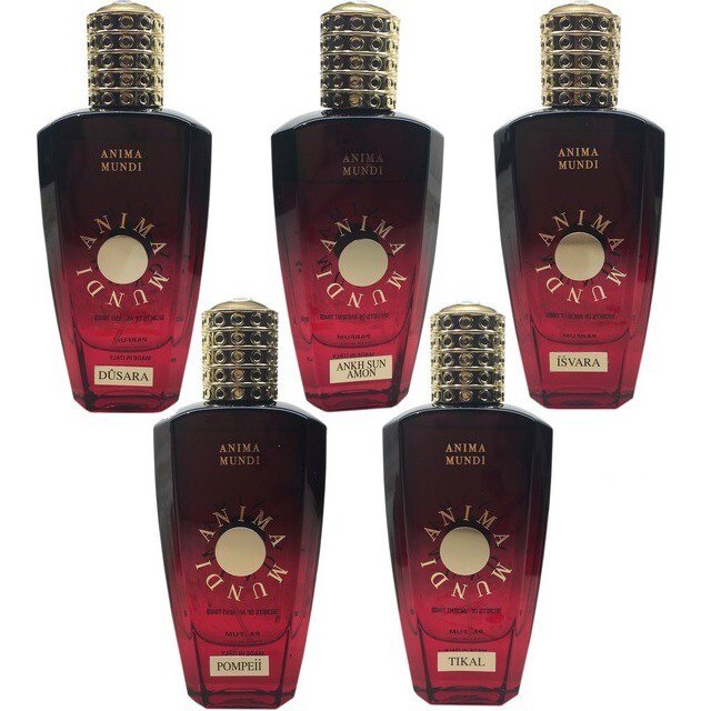 Anima Mundi_line.jpg