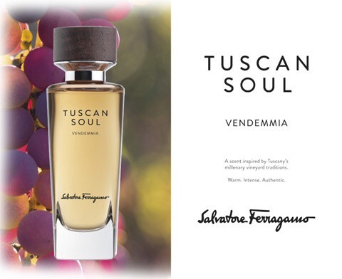 3_Tuscan Soul Vendemmia.jpg 3_Tuscan Soul Vendemmia.jpg