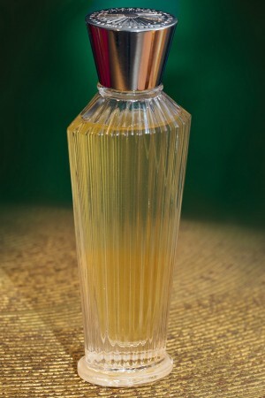 2_Ashoka.jpg 2_Ashoka.jpg