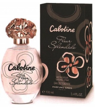 Cabotine Fleur Splendide.jpg