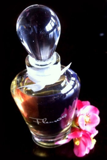fleur09_intro.jpg