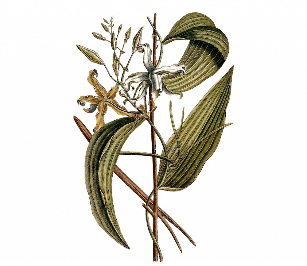 7RdZKjsKjcC8 (1).jpg