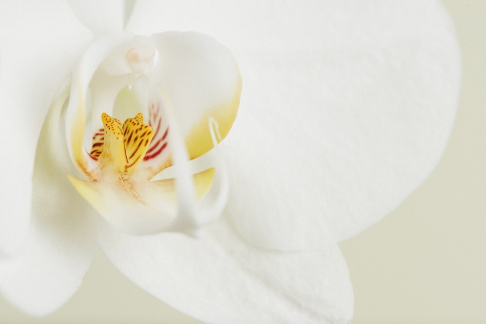 137008-OSD2WV-89.jpg 137008-OSD2WV-89.jpg