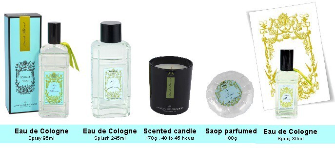 5_Ame de The Vert_poster.jpg