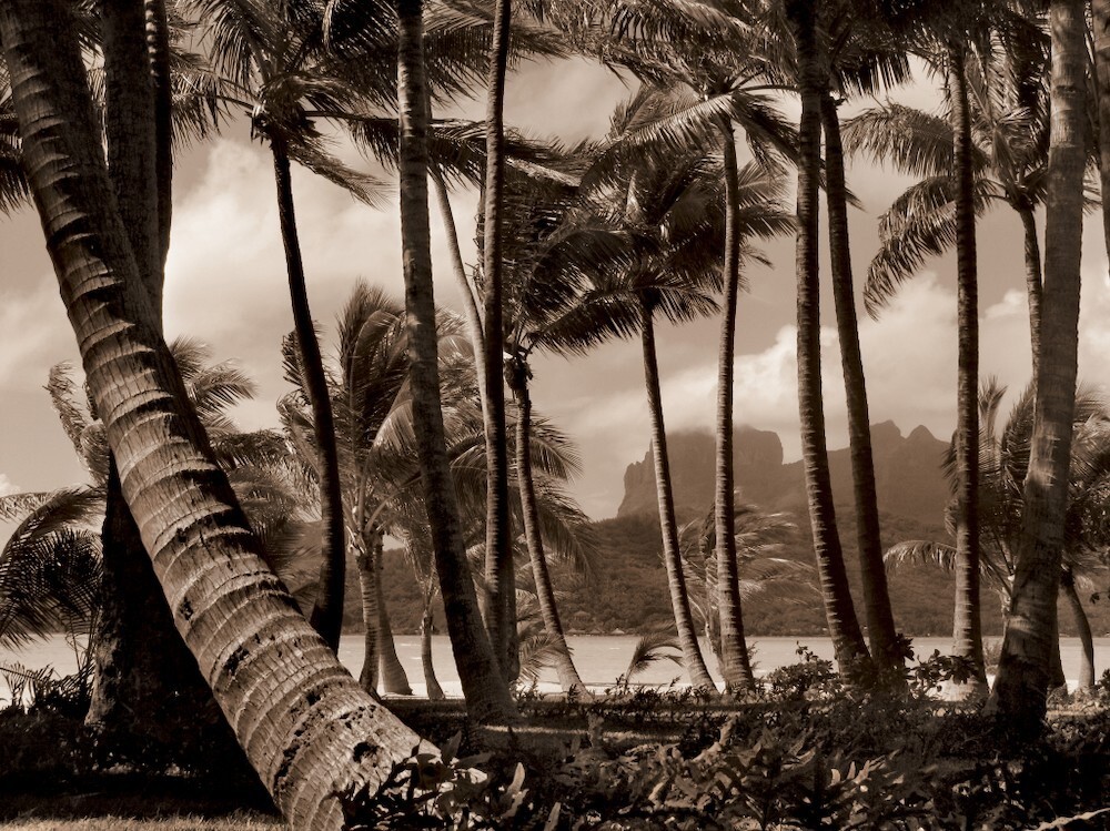 Фотография Франсуа Нарса для альбома «Tahiti: Faery Lands» NARS_TAHITI_RGB_0116.jpg