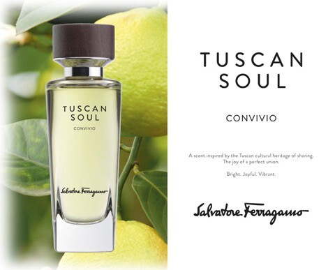 2_Tuscan Soul Convivio.jpg 2_Tuscan Soul Convivio.jpg