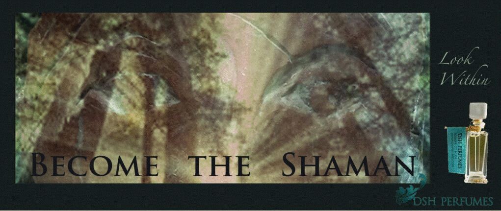 Become the Shaman.jpg
