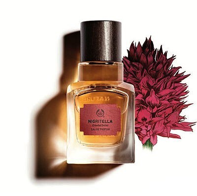 Nigritella.jpg Nigritella.jpg