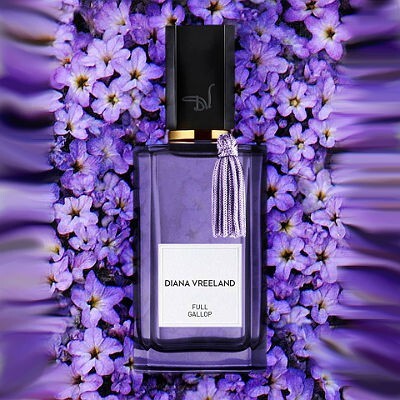 Full Gallop Diana Vreeland.jpg