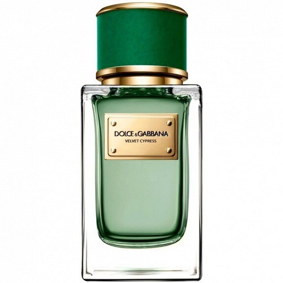 Dolce and Gabbana_Velvet Cypress.jpg Dolce and Gabbana_Velvet Cypress.jpg