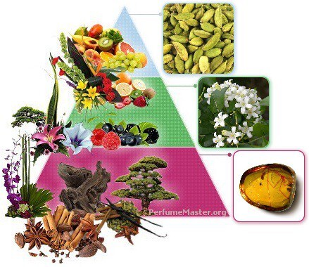 Amordad_Blue Blooded Victress_notes.jpg