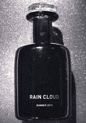 4_Rain Cloud.jpg 4_Rain Cloud.jpg