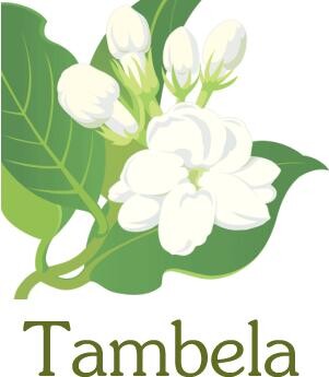Tambela_logo.jpg