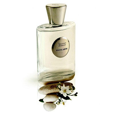 White Musk .jpg