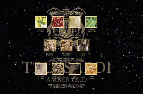 2_Trussardi_Amber Oud_notes.jpg 2_Trussardi_Amber Oud_notes.jpg