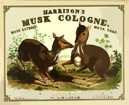 musk-cologne.png
