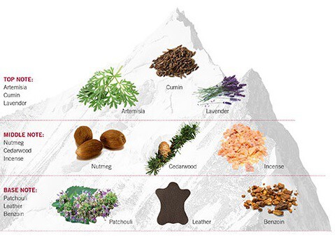 3_Victorinox Swiss Army_Swiss Army Rock_notes.jpg