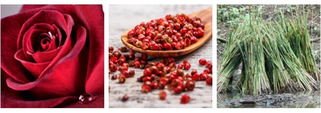 Bronnley_Eclectic Elements_Zealous Flower_notes.jpg