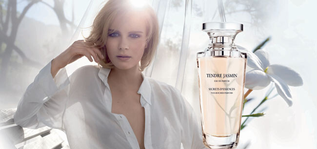 Tendre Jasmin.jpg