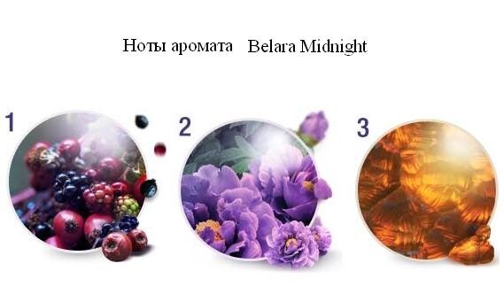 notes_Belara Midnight.jpg