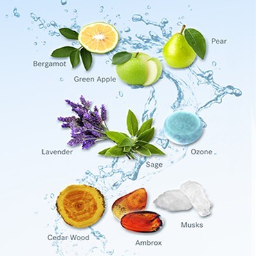 1_Mercedes-Benz Club Fresh_notes.jpg