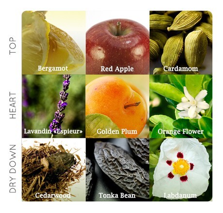 2_Ferrari_Man In Red_notes.jpg