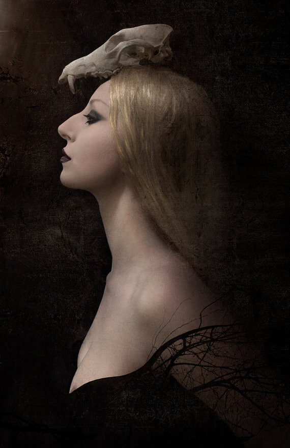 3_picture for Figure 1 Noir.jpg