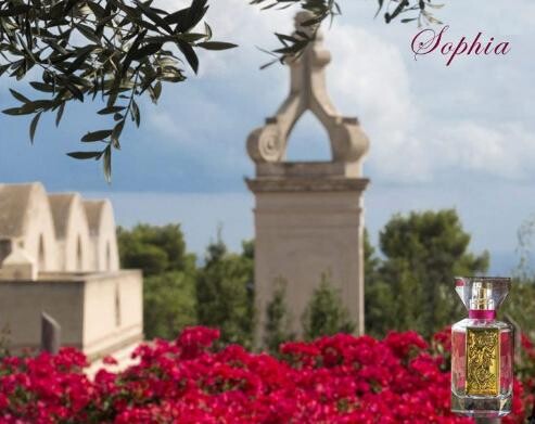 6_Sophia_poster.jpg 6_Sophia_poster.jpg