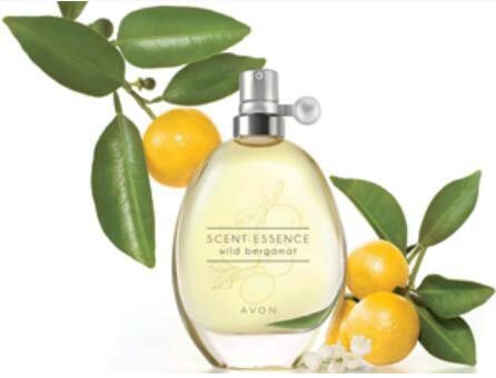 Scent Essence_ Wild Bergamot_poster.jpg