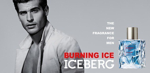 Iceberg-Burning-Ice.jpg