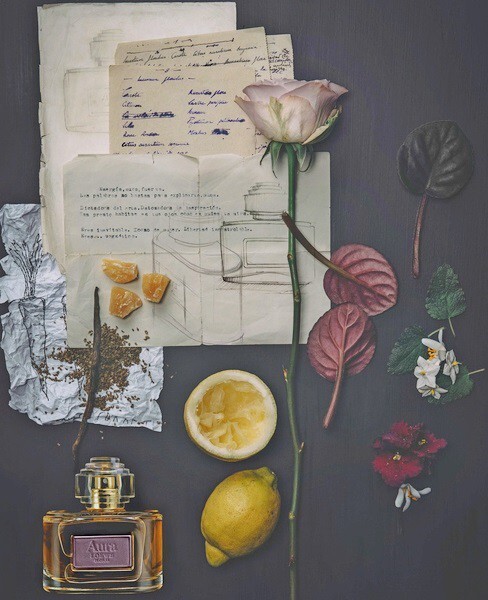 2_Loewe Aura Loewe Floral_notes.jpg