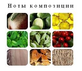 Givenchy_Insense Ultramarine Blue Energy_notes.jpg